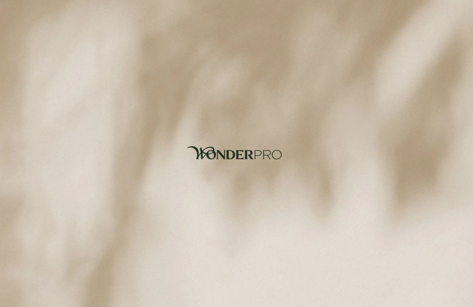 Projeto de marca Wonder Pro