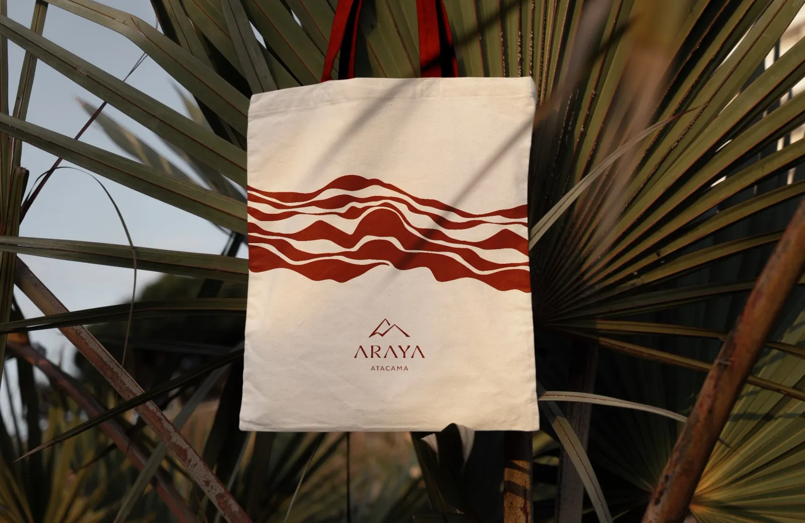 Projeto de marca ARAYA
