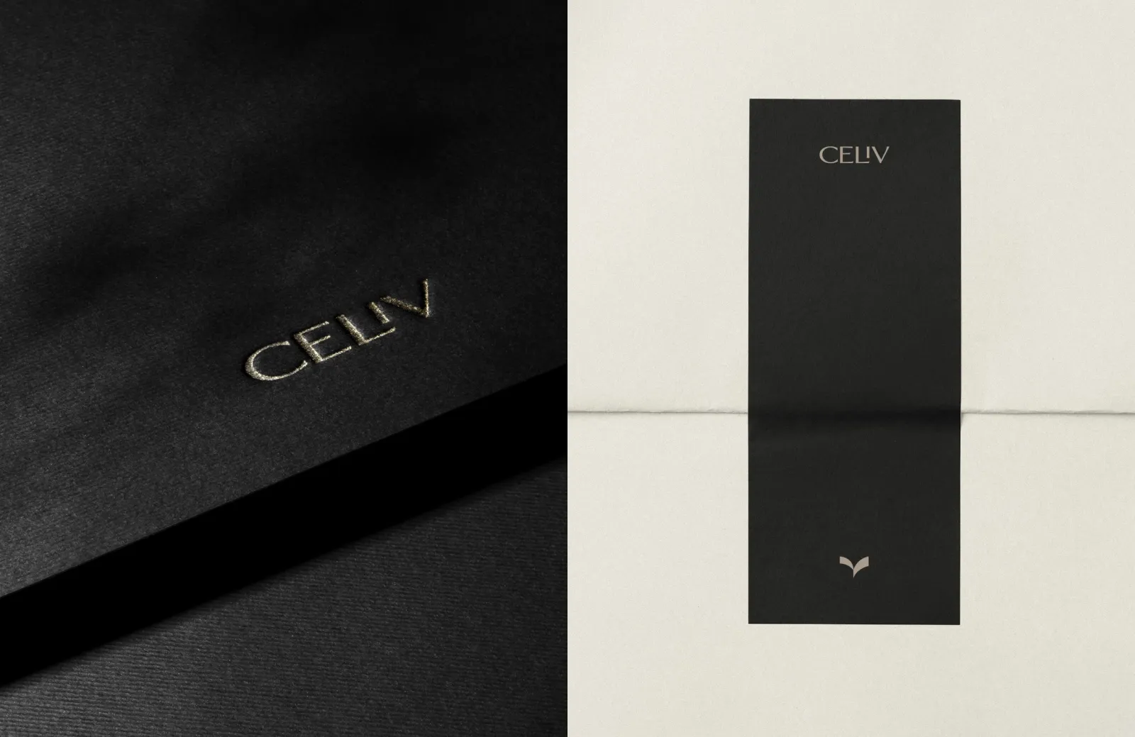 Projeto de marca CELIV