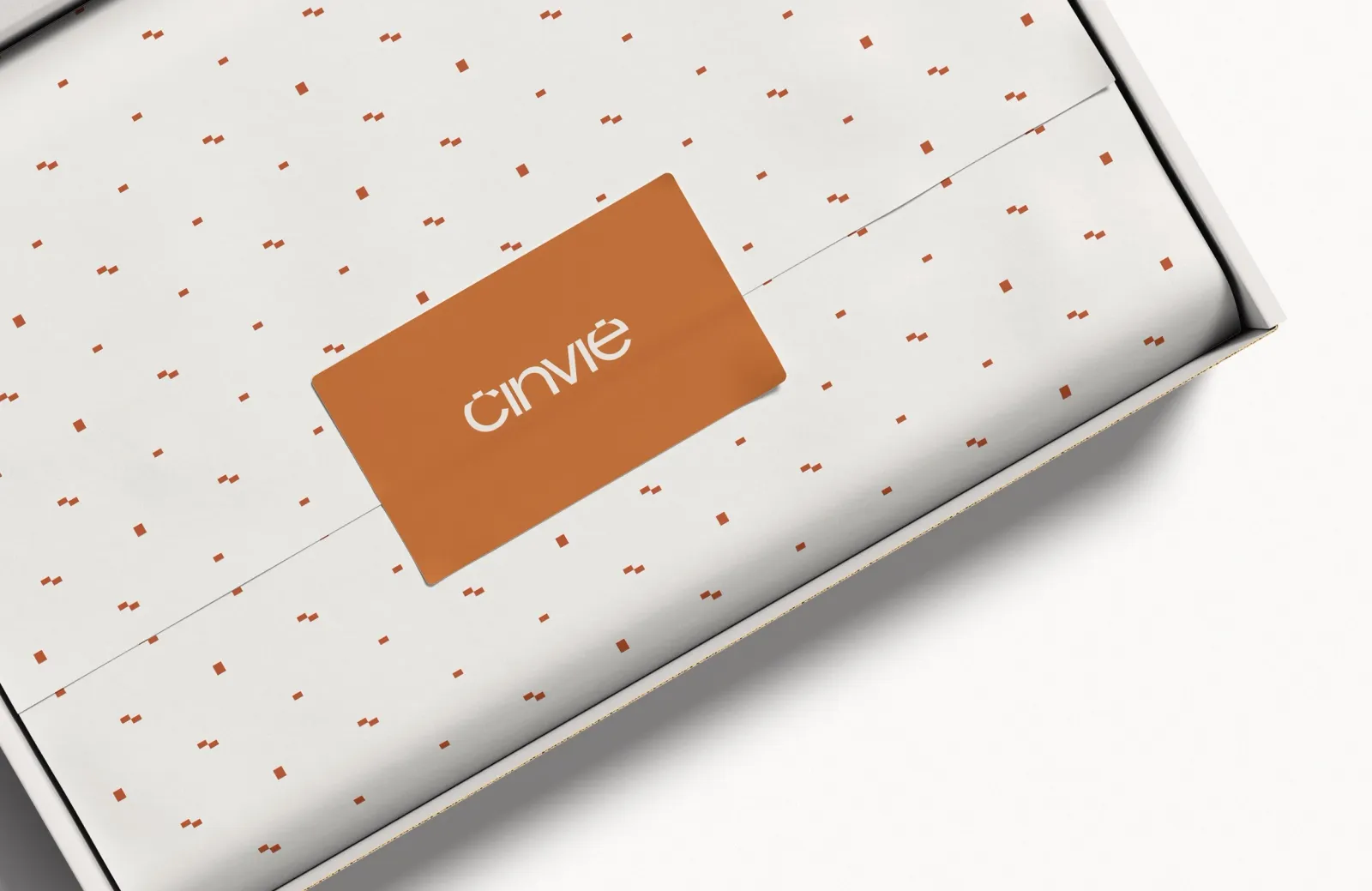 Projeto de marca CINVIE