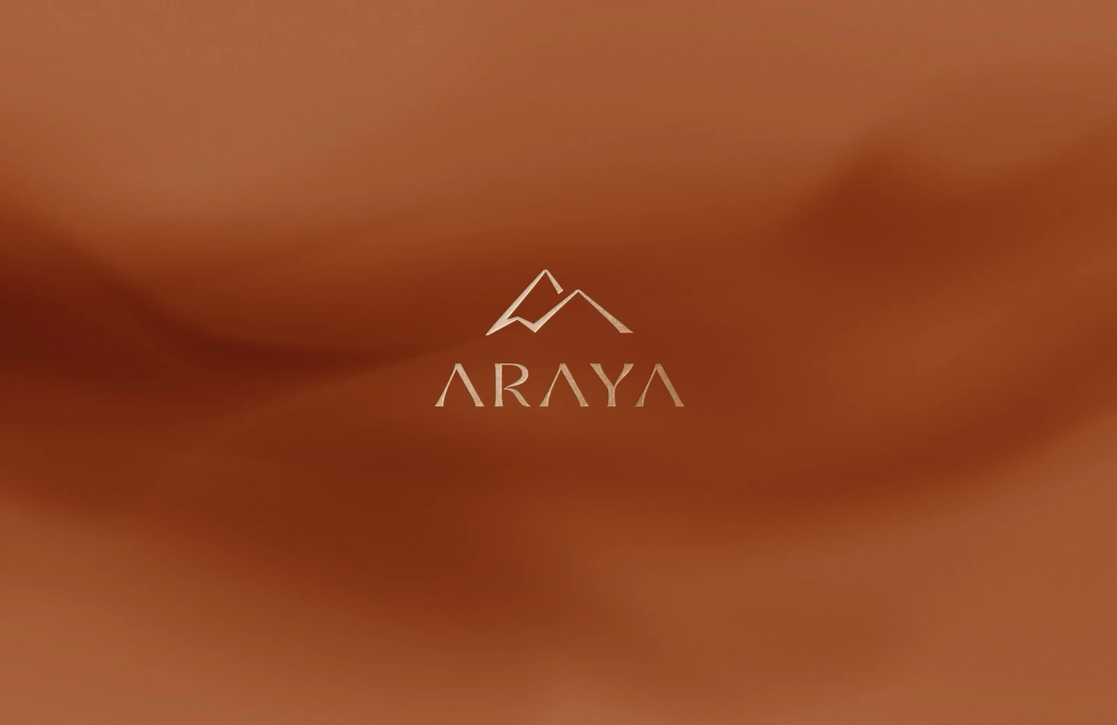 Projeto de marca ARAYA