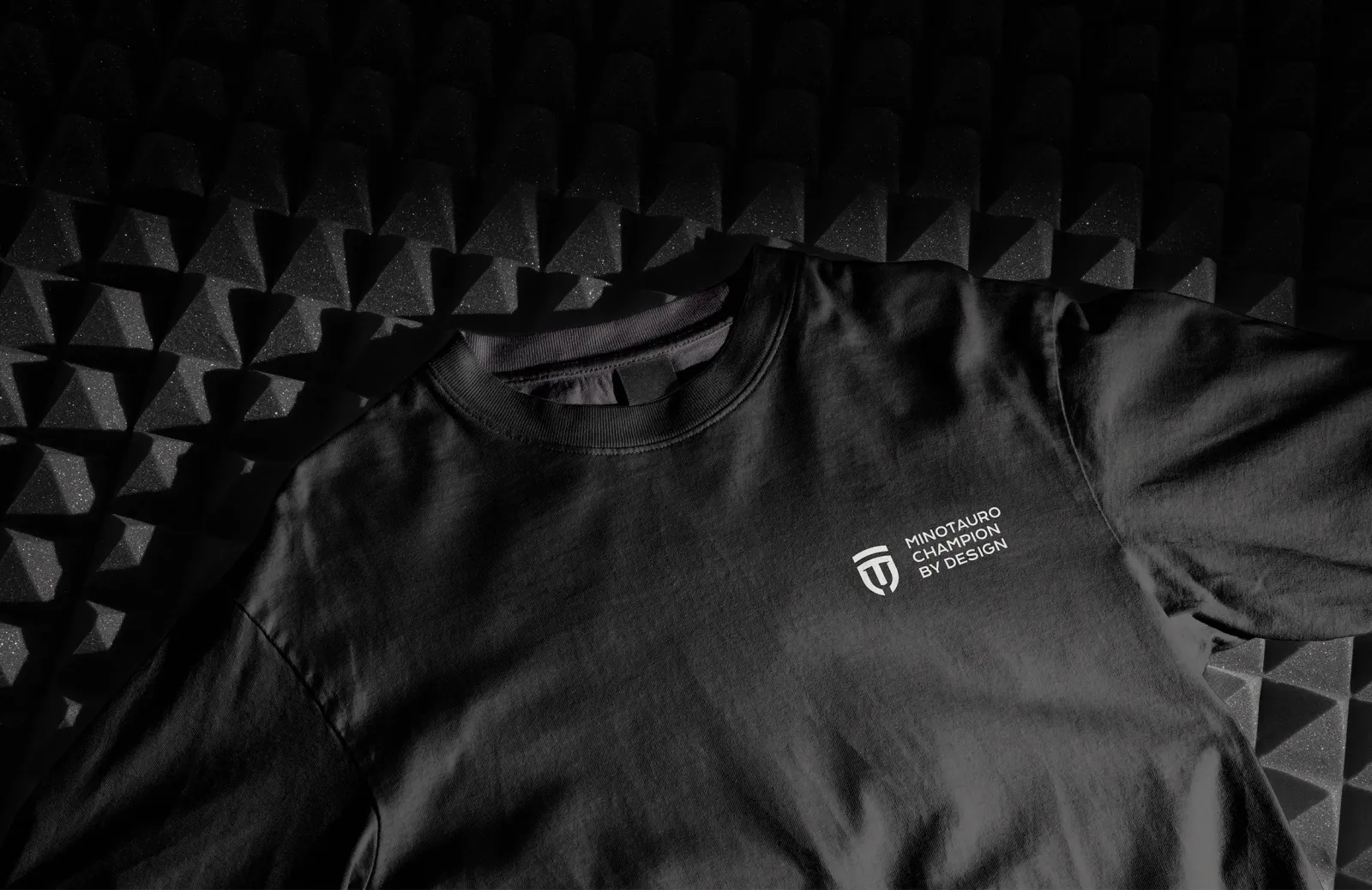 Projeto de marca Champion by design 9